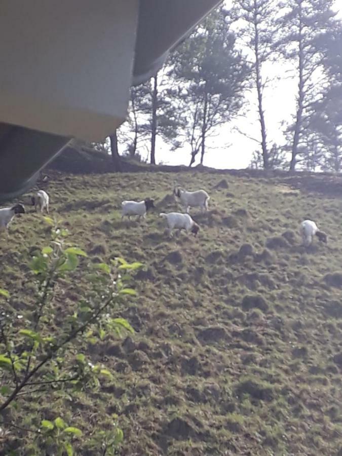 Beim Andi Lägenhet Stockach Exteriör bild